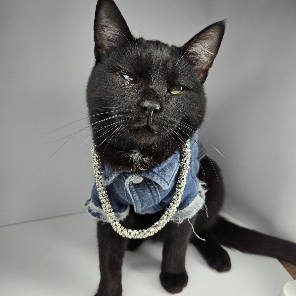 Natasha Silver Beaded Necklace